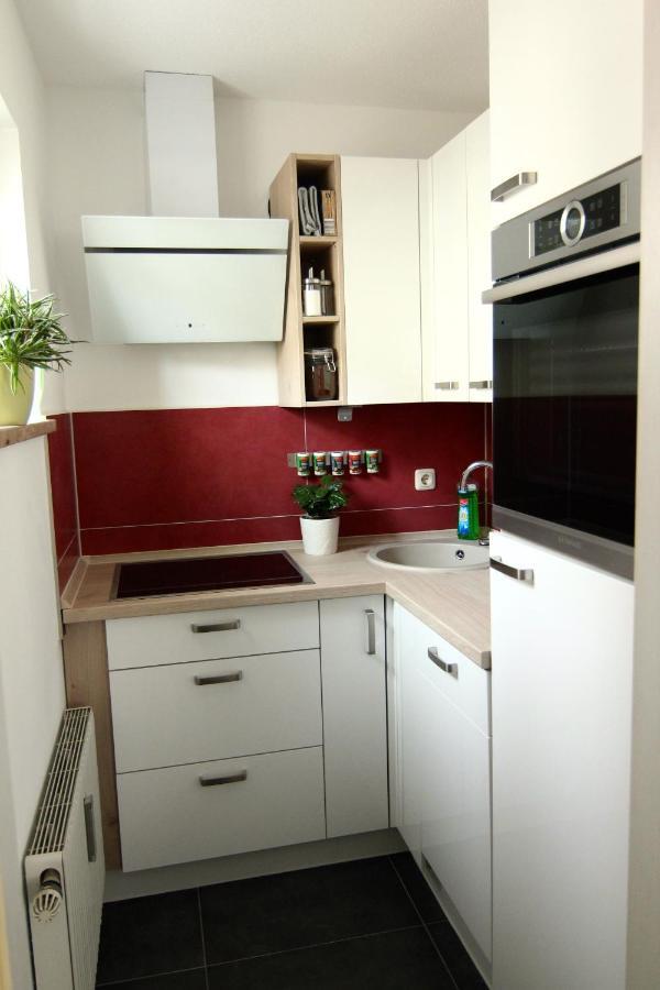 Apartment / Flat / Wohnung Im Herzen Von Drezno Zewnętrze zdjęcie